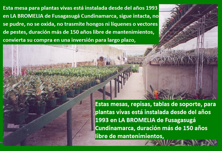 jardinería y paisajismo diseño de jardines botánicos jardinería en macetas jardinería botánica jardinería practicas jardinería básica jardinería paisajismo jardinería jardín botánico decorar 2 jardinería y paisajismo diseño de jardines botánicos jardinería en macetas jardinería botánica jardinería practicas jardinería básica jardinería paisajismo jardinería jardín botánico decorar 2